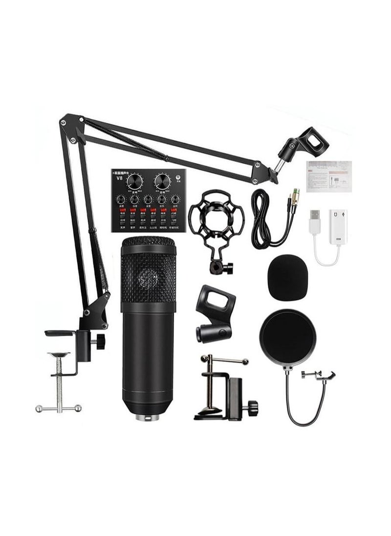 Adjustable Recording Condenser Microphone with Kit V8