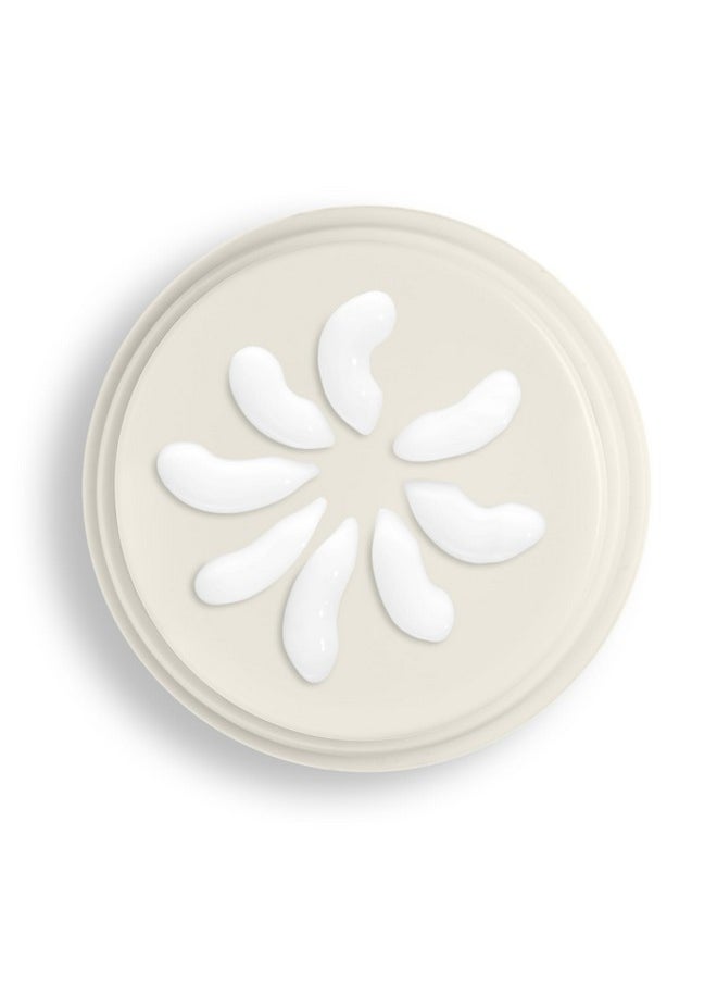 Beekman 1802 Bloom Face Cream, Goat Milk Moisturizer - Hydrates, Nourishes & Restores Skin Barrier - Infused with Epsom Salt & Niacinamide - Safe for All Skin Types - Fragrance-Free, Cruelty-Free