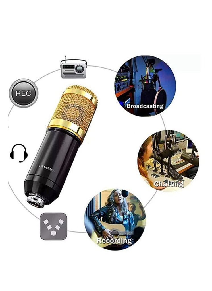 V8 Sound Card With Bm-800 Condenser Microphone Mic Kit with Live Sound Card, Adjustable Mic Suspension Scissor Arm, Metal Shock Mount and Double-Layer