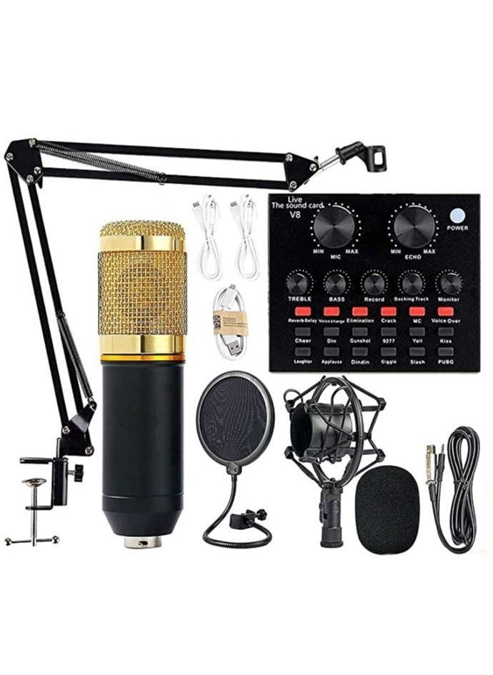 V8 Sound Card With Bm-800 Condenser Microphone Mic Kit with Live Sound Card, Adjustable Mic Suspension Scissor Arm, Metal Shock Mount and Double-Layer
