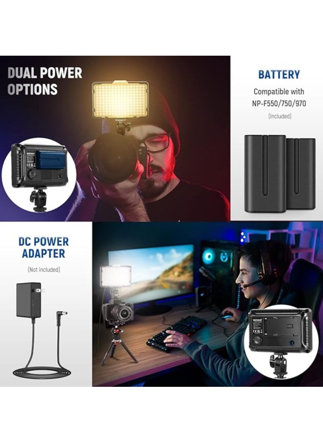 Neewer 176-LED Dimmable Light Panel with 2 x 2600 mAh Lithium Battery, Dual USB Battery Charger for Canon Nikon Digital SLR etc. for Video Recording in Photo Studio