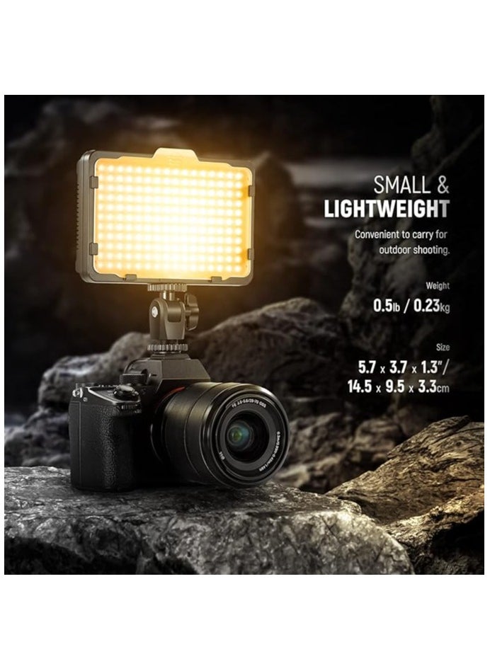 Neewer 176-LED Dimmable Light Panel with 2 x 2600 mAh Lithium Battery, Dual USB Battery Charger for Canon Nikon Digital SLR etc. for Video Recording in Photo Studio