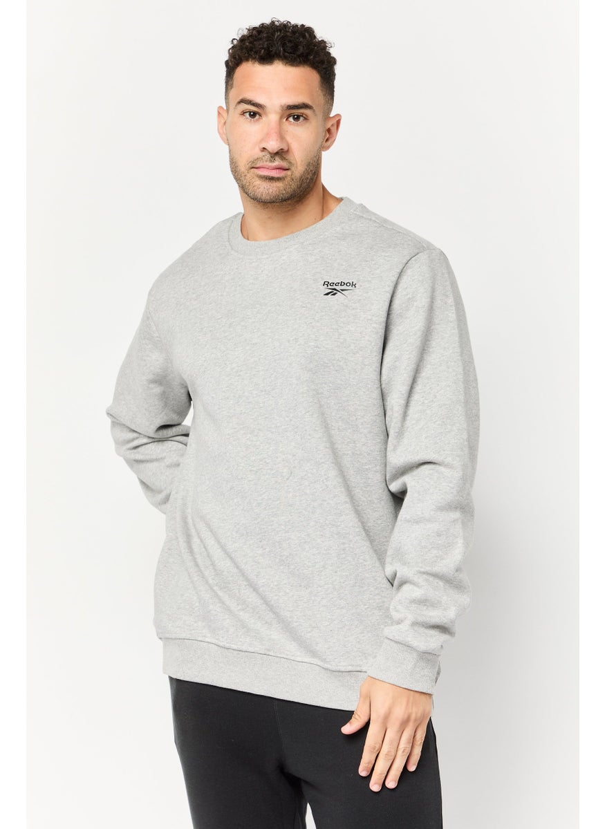 Men Sportswear Fit Long Sleeve Outdoor Sweatshirt, Light Grey