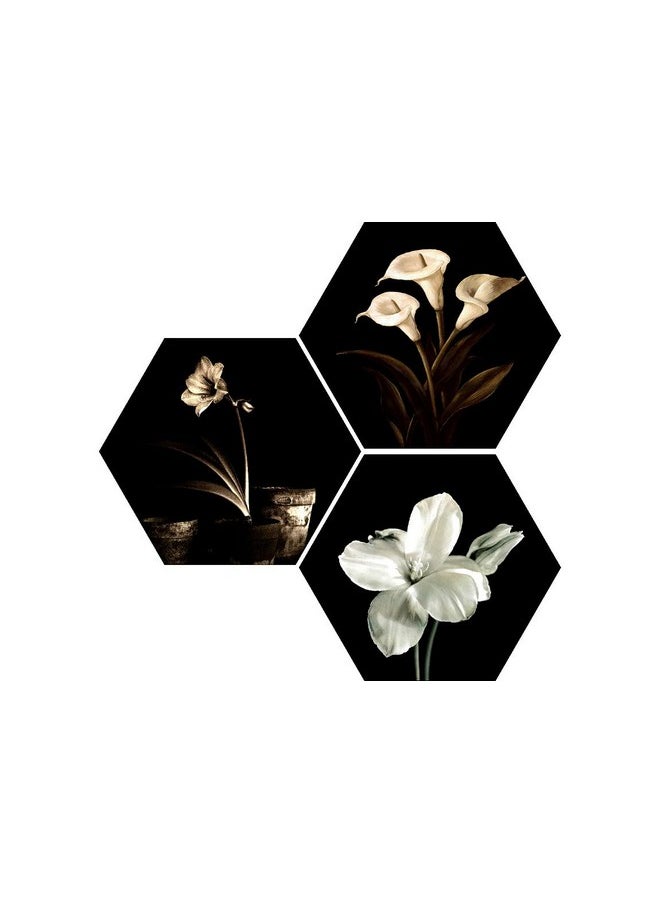 SAF paintings Preety Flower White Flower 3 Hexagon piece UV Textured Multi-Effect Self adheshive Painting 17 Inch X 17 Inch