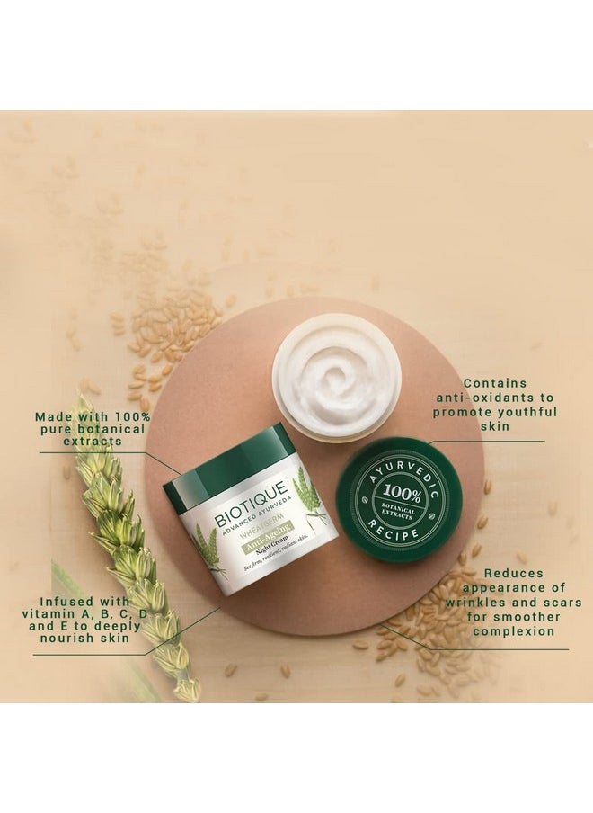 Wheat Germ Anti- Ageing Night Cream | Reduces Fine Lines | Lightens Dark Spots | 100% Botanical Extracts | Suitable For All Skin Types | 50G