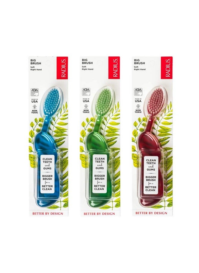 Radius Toothbrush Big Brush For Right Hand 6 Pack (Assorted)