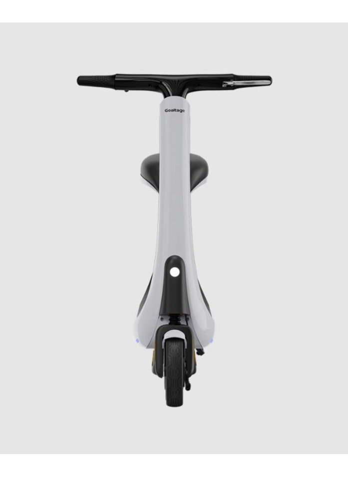 SCT03 PowerMotion Electric Scooter with Seat, 350W Motor, 25 km/h Speed, 45-50 km Range, Digital Display, Turn Signals, KeyCard Lock, Front & Rear Shock Absorbers, Brakes, Lights, Waterproof Design