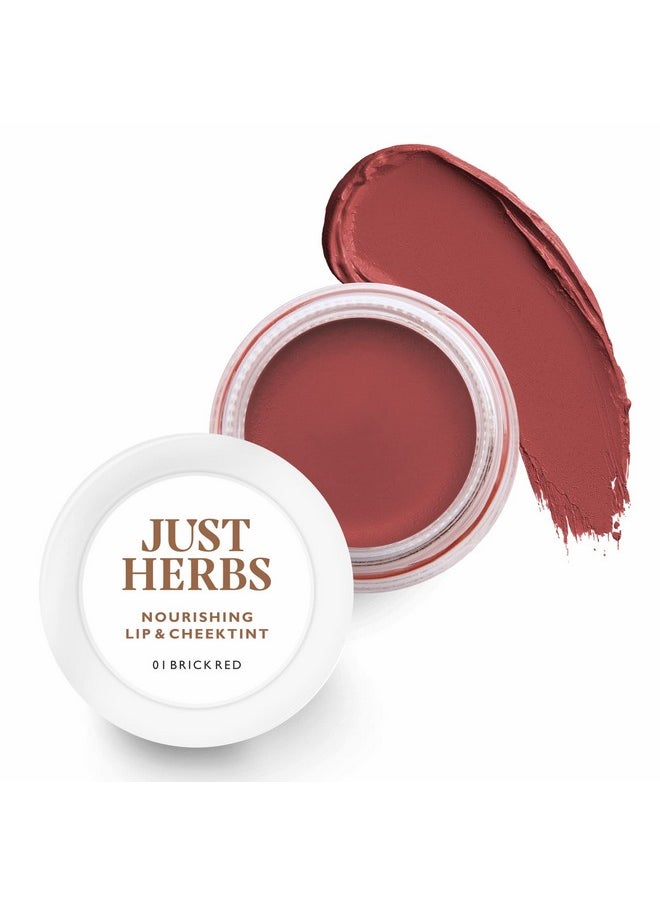 Lip And Cheek Tint -01 Brick Red