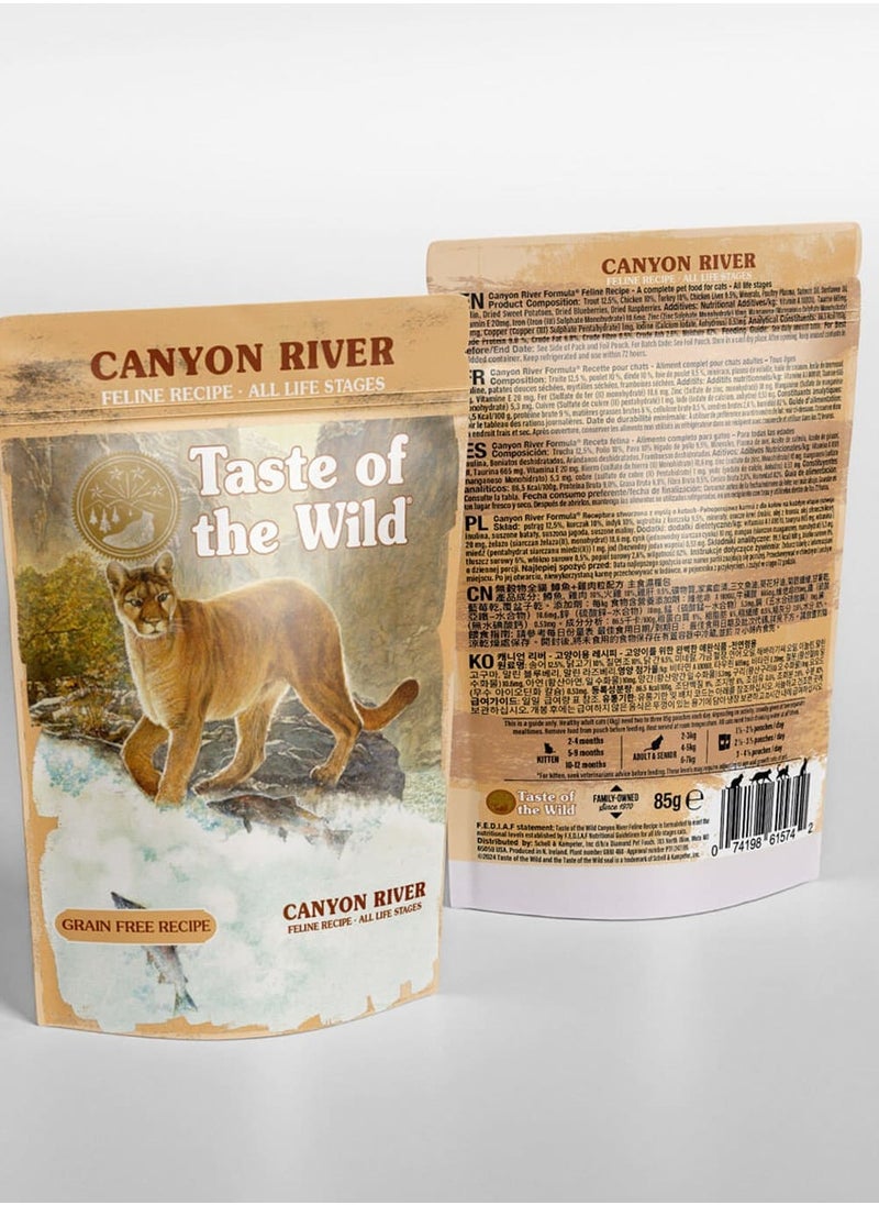 Taste of the Wild Canyon River Cat Pouch Chunks in Gravy 85g 12pcs