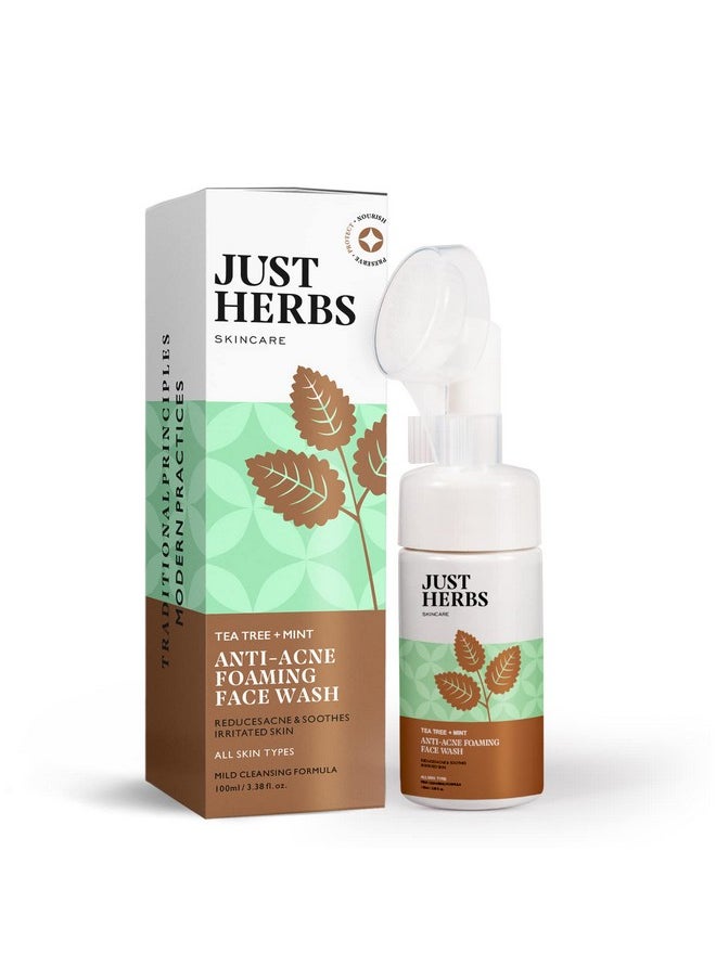 Anti Acne Foaming Face Wash Men Women With Tea Tree And Mint For Oil Control, Glowing Skin Brush - 100Ml