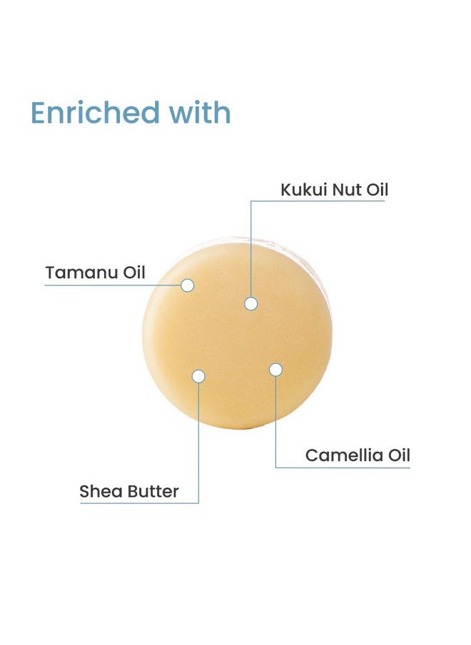 Organic Hair Conditioner For Frizz, Dryness, Splitends | Tamanu Oil & Shea Butter| Men & Women | Sulphate And Paraben Free | Cardboard Box- 80 Gm, 1 Count