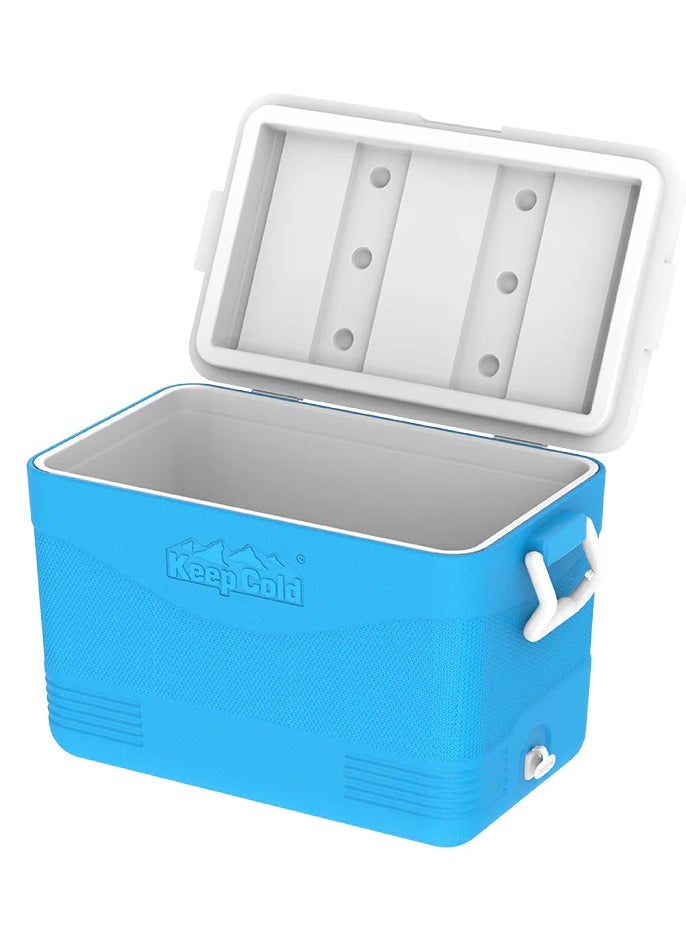 Cosmoplast 46L KeepCold Picnic Icebox