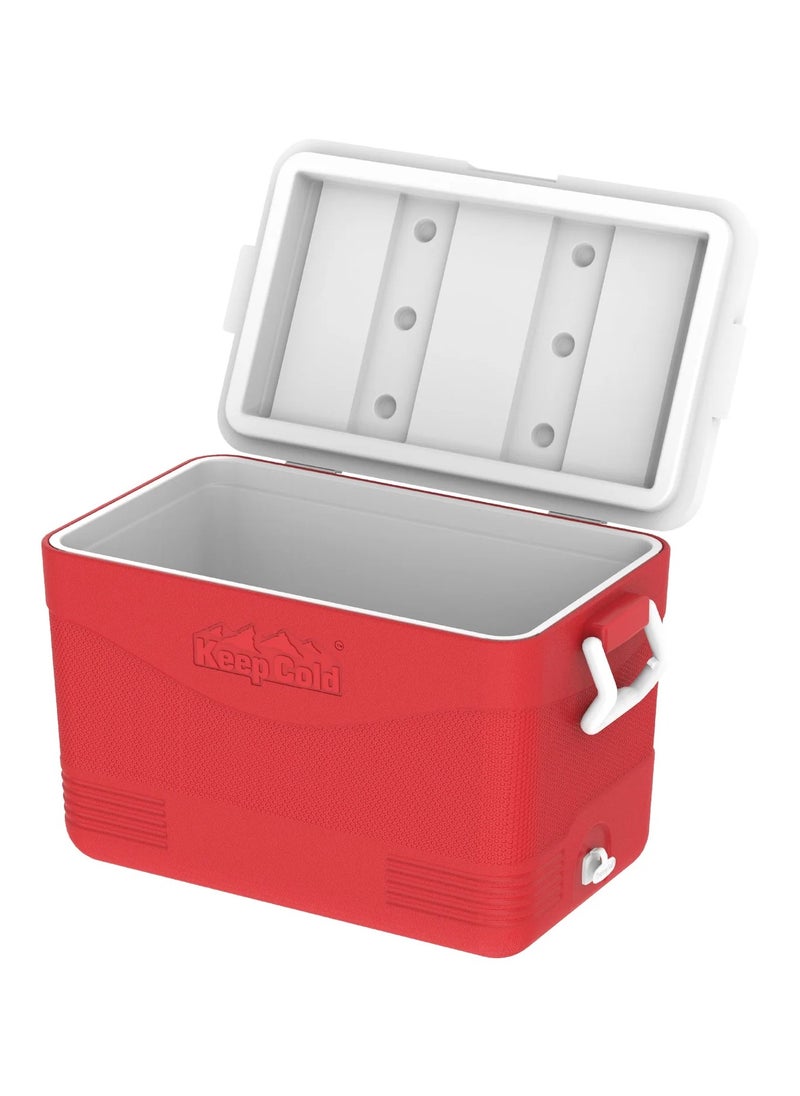 Cosmoplast 46L KeepCold Picnic Icebox