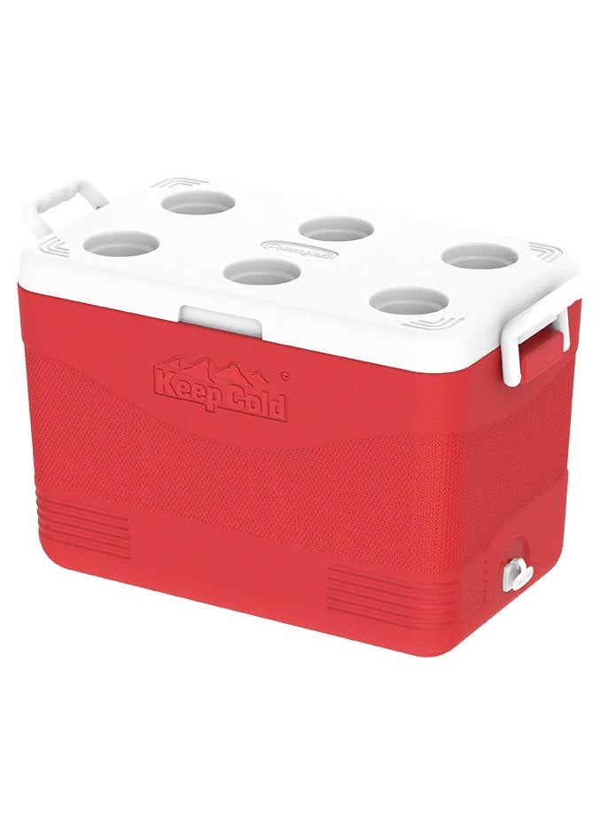 Cosmoplast 46L KeepCold Picnic Icebox