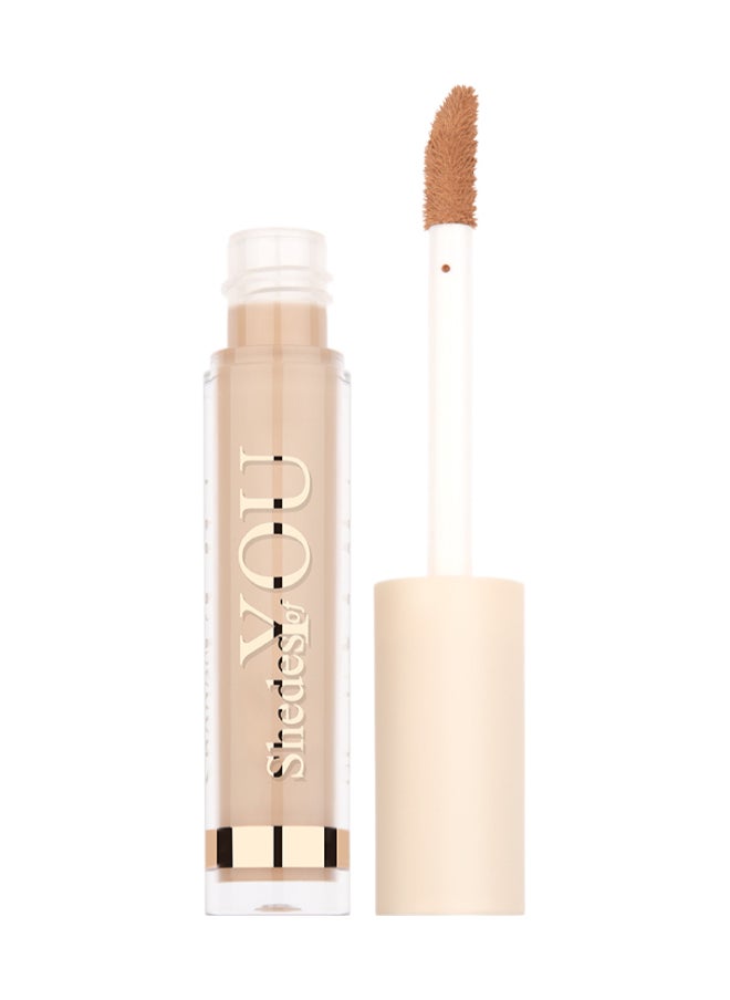 Shedes Of You Concealer