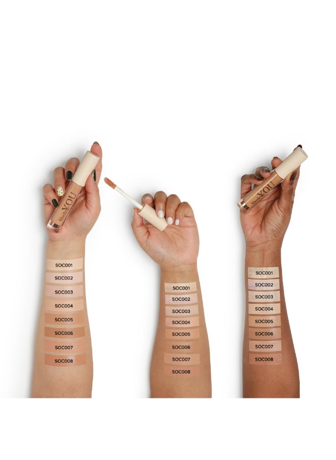 Shedes Of You Concealer