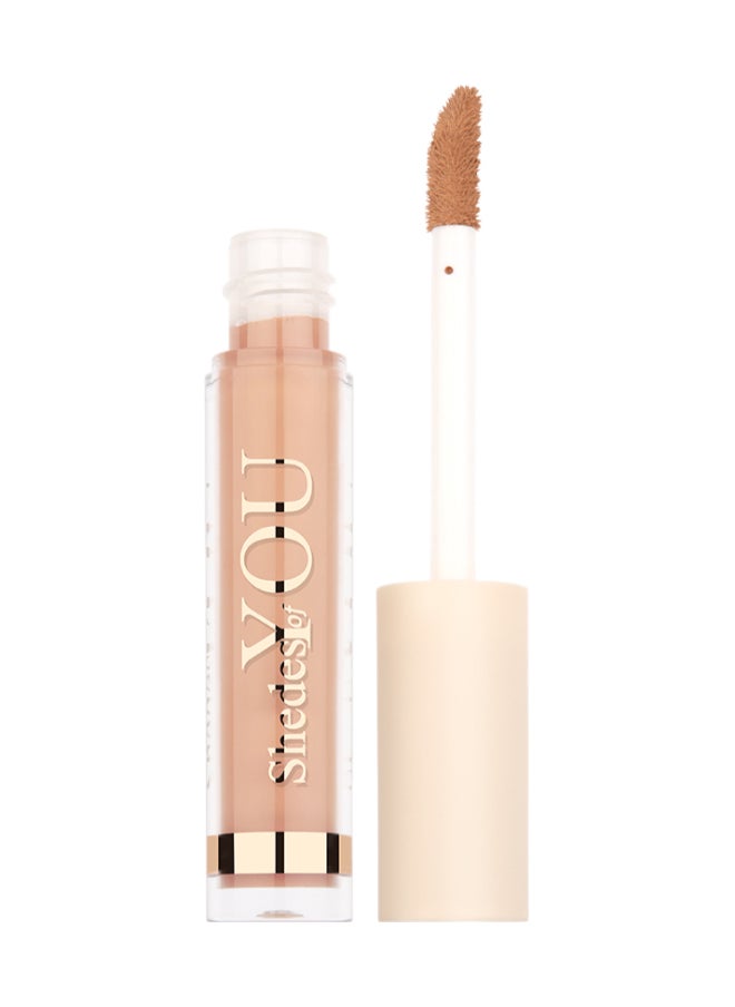 Shedes Of You Concealer
