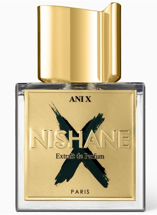 Ani X Extrait de Parfum 100ml
