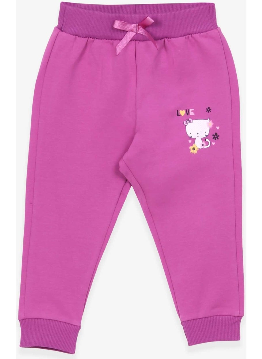Baby Girl Sweatpants Cat Printed 6 Months-2 Years, Lilac