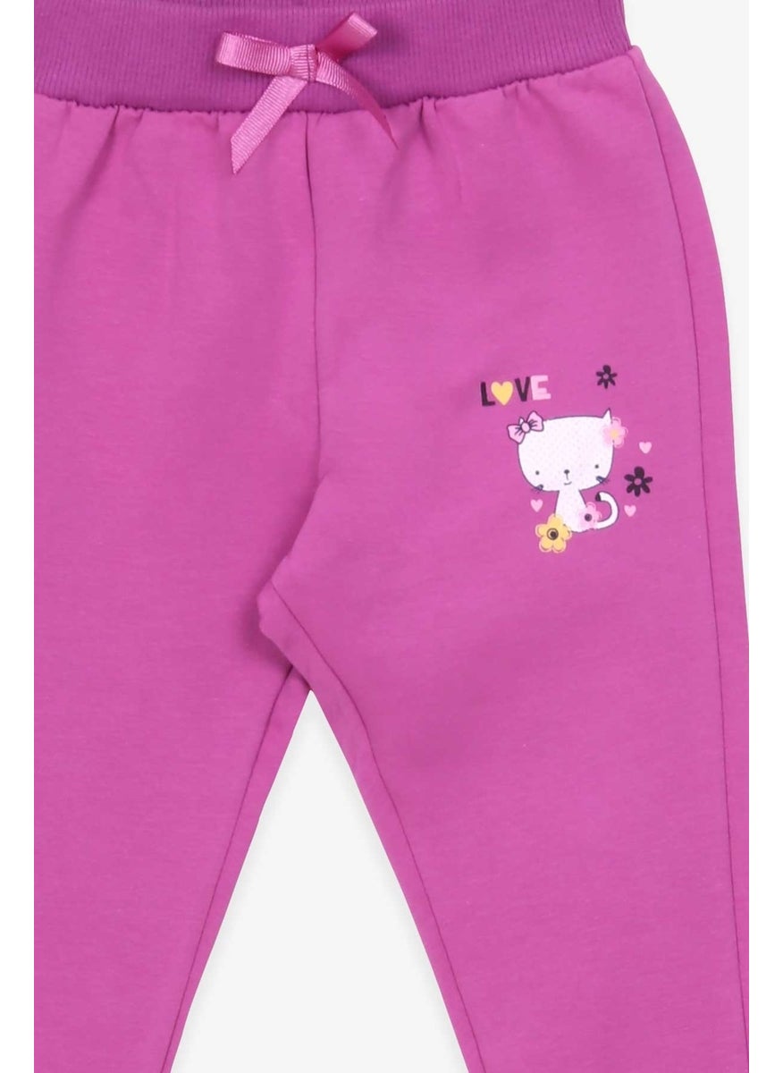 Baby Girl Sweatpants Cat Printed 6 Months-2 Years, Lilac