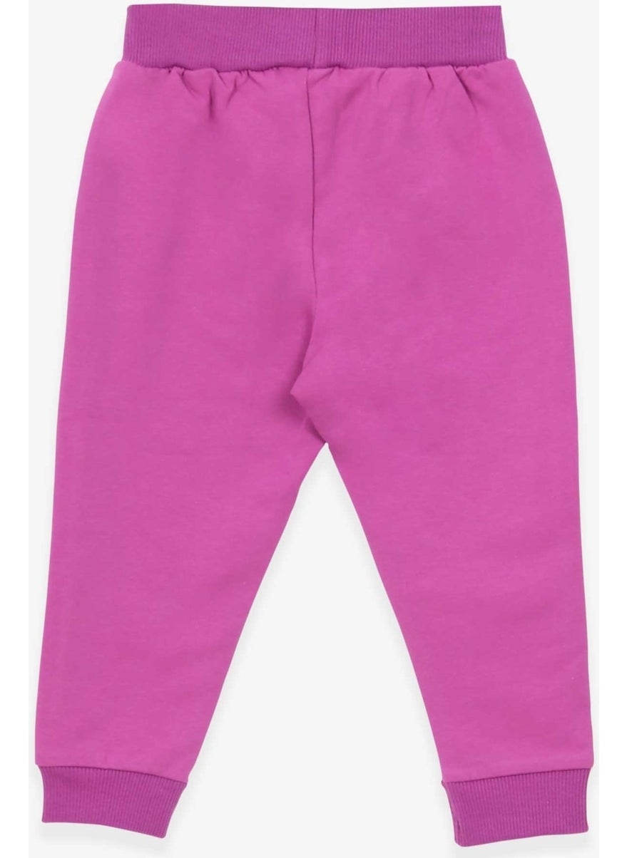 Baby Girl Sweatpants Cat Printed 6 Months-2 Years, Lilac