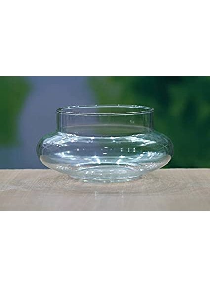 Rishabh Home Decoration Flower Glass Vase Urli Bowl Terrarium Succulent Planter Air Plant Display Decorative Centerpiece Floral Container 6 inchi