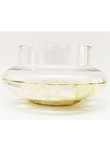 Rishabh Home Decoration Flower Glass Vase Urli Bowl Terrarium Succulent Planter Air Plant Display Decorative Centerpiece Floral Container 6 inchi
