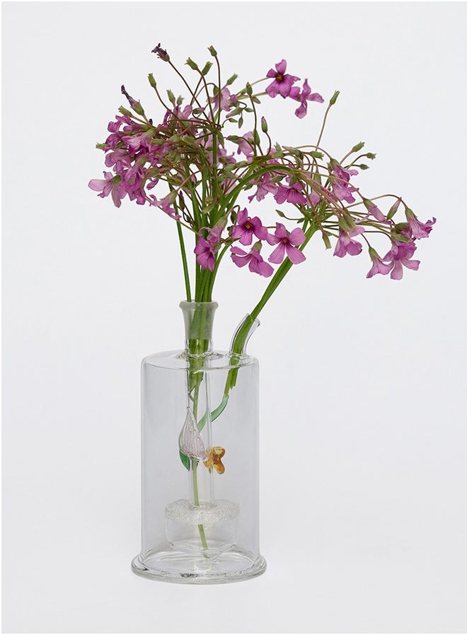 Glass Home Decorative Heat Resistant Oil Lamp Vase