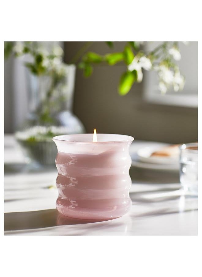 Scented candle in glass, Jasmine/pink, 50 hr