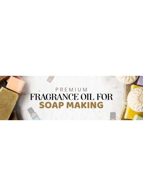 Aldrome Cucumber Melon Premium Fragnance Oil 100ml for Soap Making Diffusers Candle Making Slime and Home Fragnance