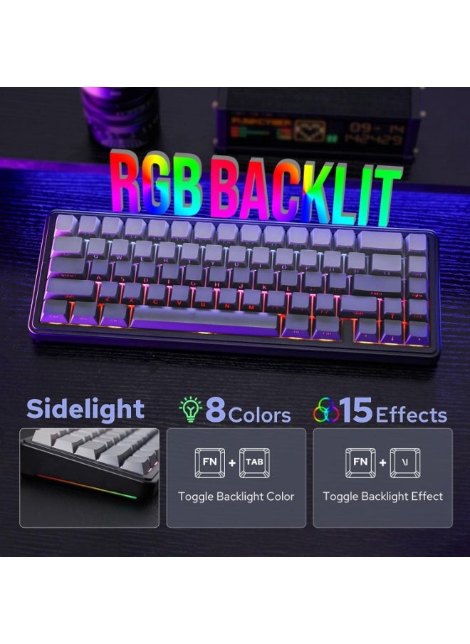 F65 65% Wireless Mechanical Keyboard, Hot Swappable Greywood V3 Switch Gasket Custom Gaming Keyboard with Five-Layer Padding, RGB Backlit, Bluetooth/2.4GHz/USB-C