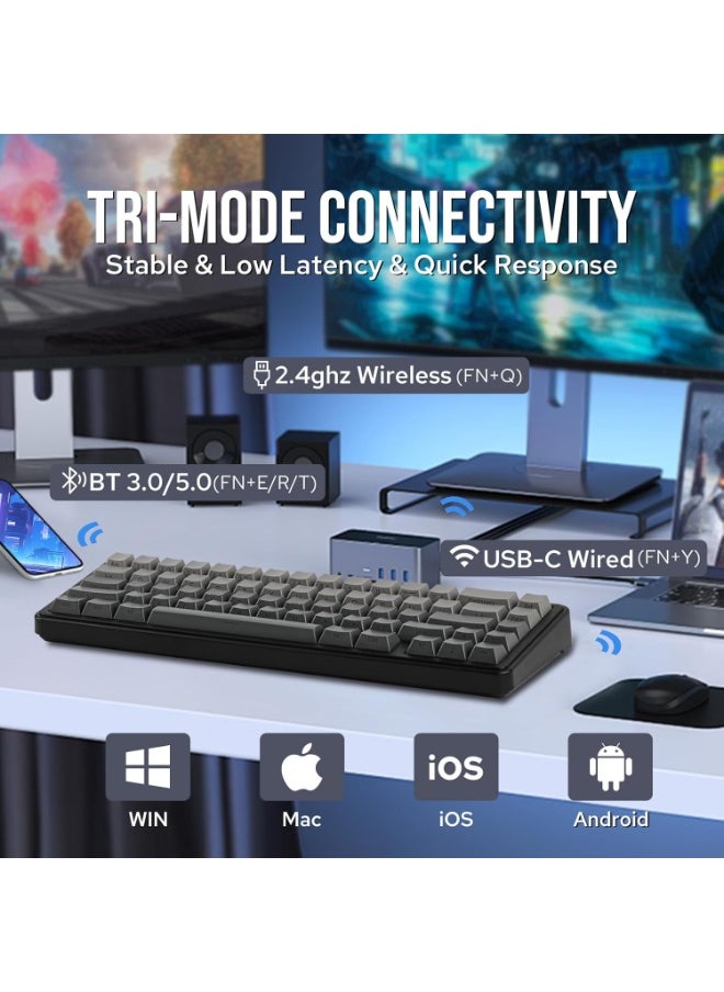 F65 65% Wireless Mechanical Keyboard, Hot Swappable Greywood V3 Switch Gasket Custom Gaming Keyboard with Five-Layer Padding, RGB Backlit, Bluetooth/2.4GHz/USB-C
