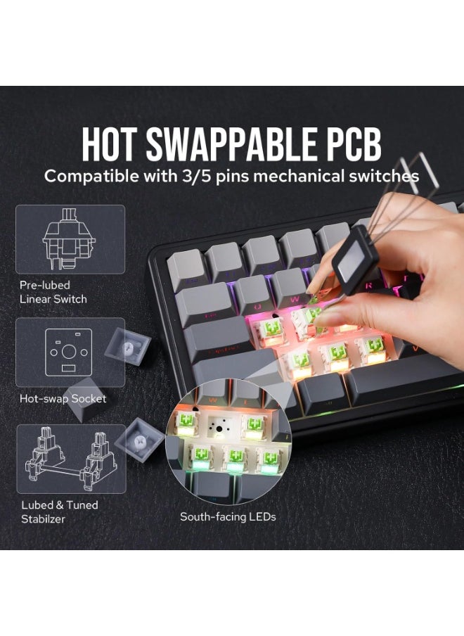 F65 65% Wireless Mechanical Keyboard, Hot Swappable Greywood V3 Switch Gasket Custom Gaming Keyboard with Five-Layer Padding, RGB Backlit, Bluetooth/2.4GHz/USB-C