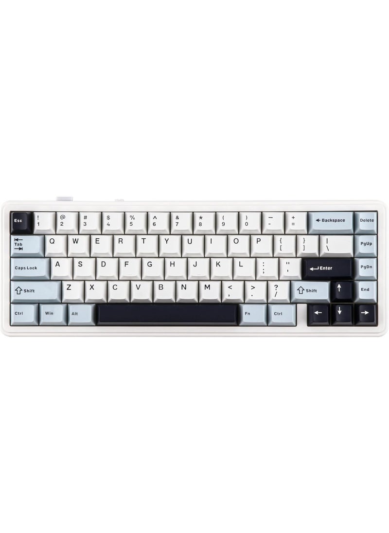 F65 65% Wireless Mechanical Keyboard, Hot Swappable Reaper Switch Gasket Custom Gaming Keyboard with Five-Layer Padding, RGB Backlit, Bluetooth/2.4GHz/USB-C