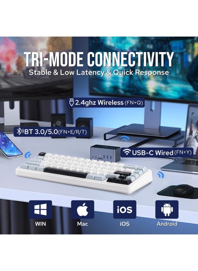 F65 65% Wireless Mechanical Keyboard, Hot Swappable Reaper Switch Gasket Custom Gaming Keyboard with Five-Layer Padding, RGB Backlit, Bluetooth/2.4GHz/USB-C