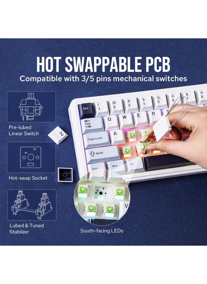 F65 65% Wireless Mechanical Keyboard, Hot Swappable Reaper Switch Gasket Custom Gaming Keyboard with Five-Layer Padding, RGB Backlit, Bluetooth/2.4GHz/USB-C