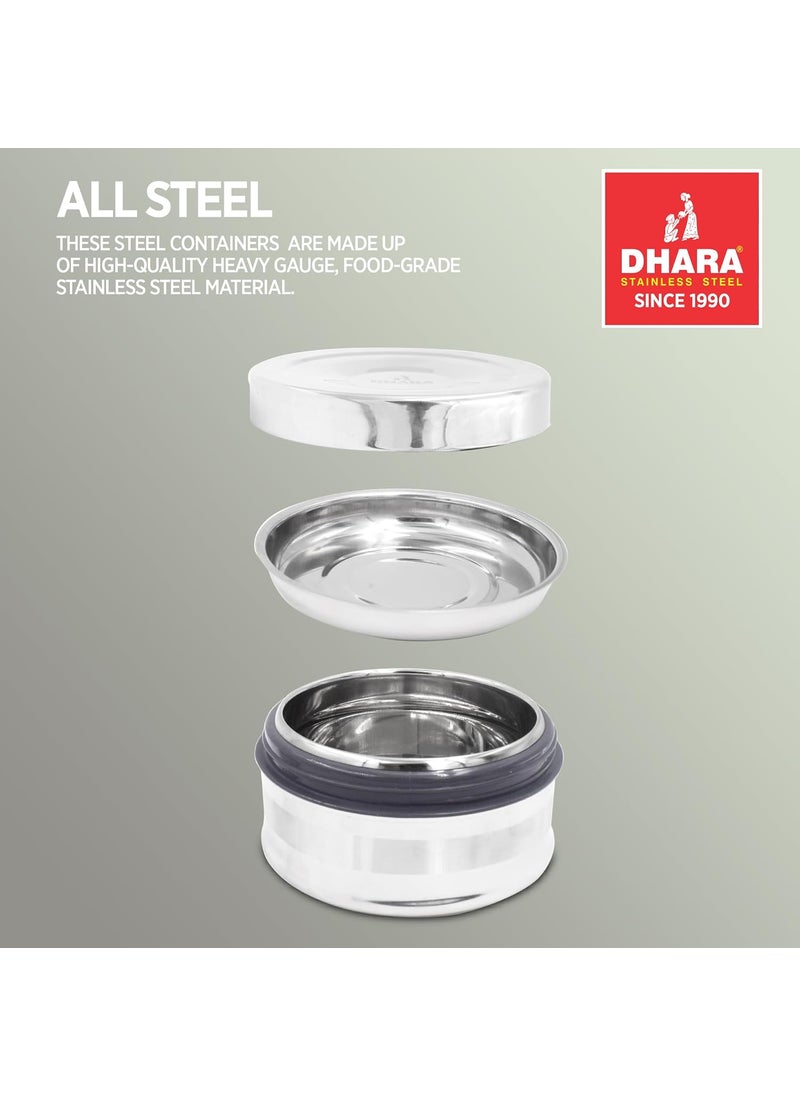 Dhara Stainless Steel Double Wall Insulated All Steel Big Lunch Tiffin Box 750ml Rustproof Easy to Carry Insulated Stainless Steel Lunch Box Container for School Office and Travel