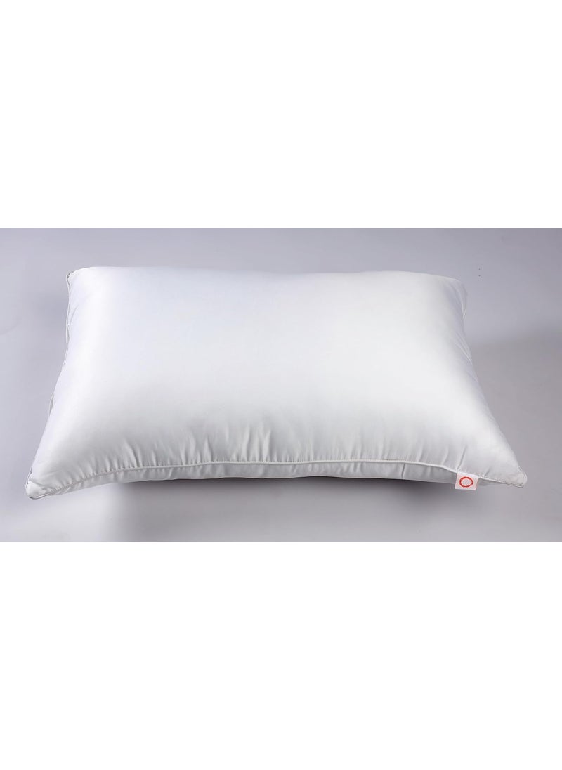 TONEITA Royal Pillows 20 x 30 Pack of 2 Polyester