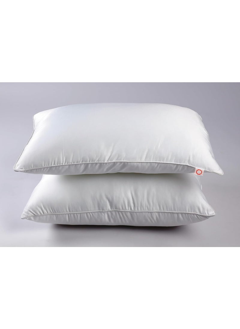 TONEITA Royal Pillows 20 x 30 Pack of 2 Polyester