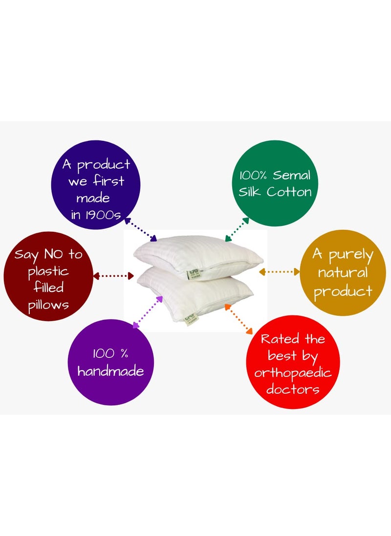 GPGP Pure Semal Cotton Pillows Sleeping Pillows Filled with Silk Cotton White Set of 2