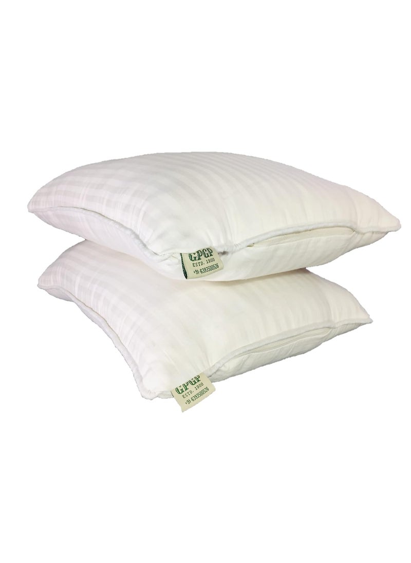 GPGP Pure Semal Cotton Pillows Sleeping Pillows Filled with Silk Cotton White Set of 2