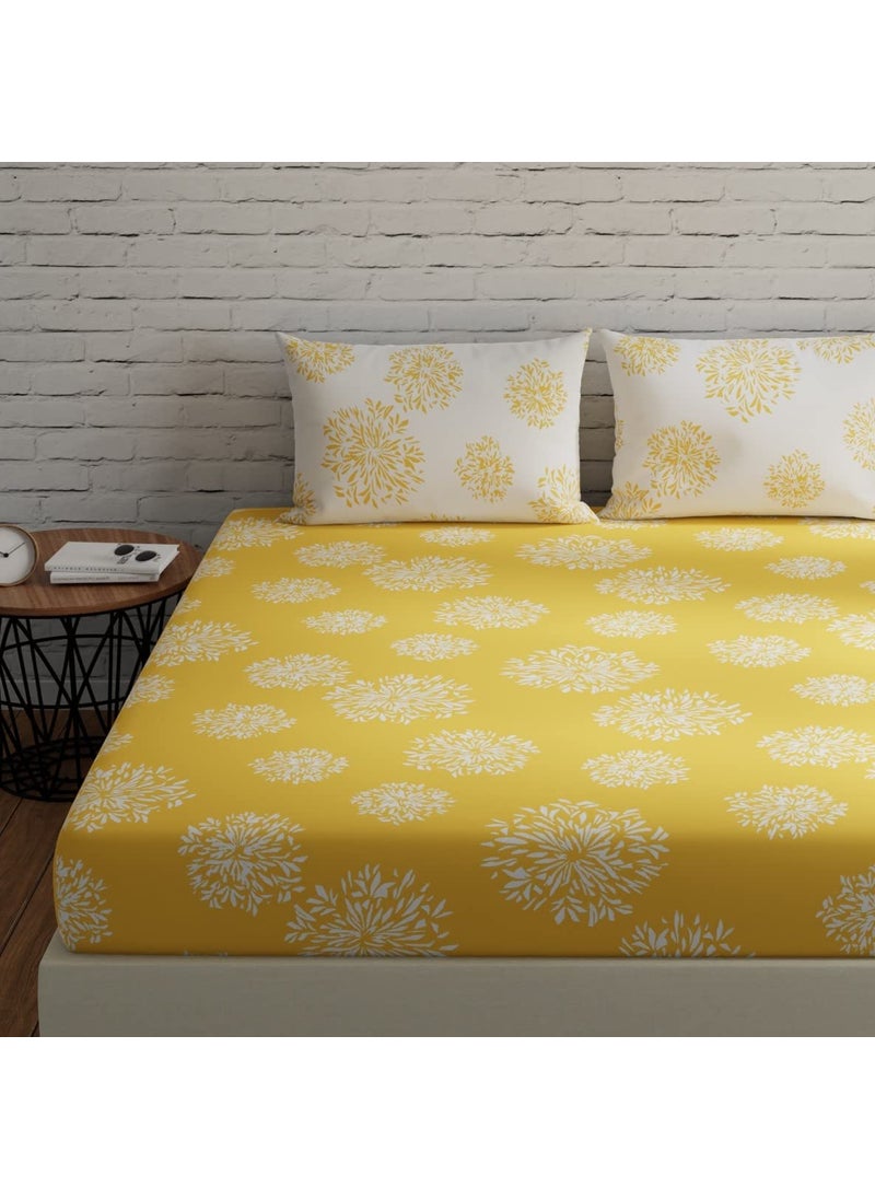 HUESLAND by Ahmedabad Cotton 144 TC Cotton Bedsheet for Double Bed King Size Elastic with 2 Pillow Covers 72 x 78 inches Yellow White