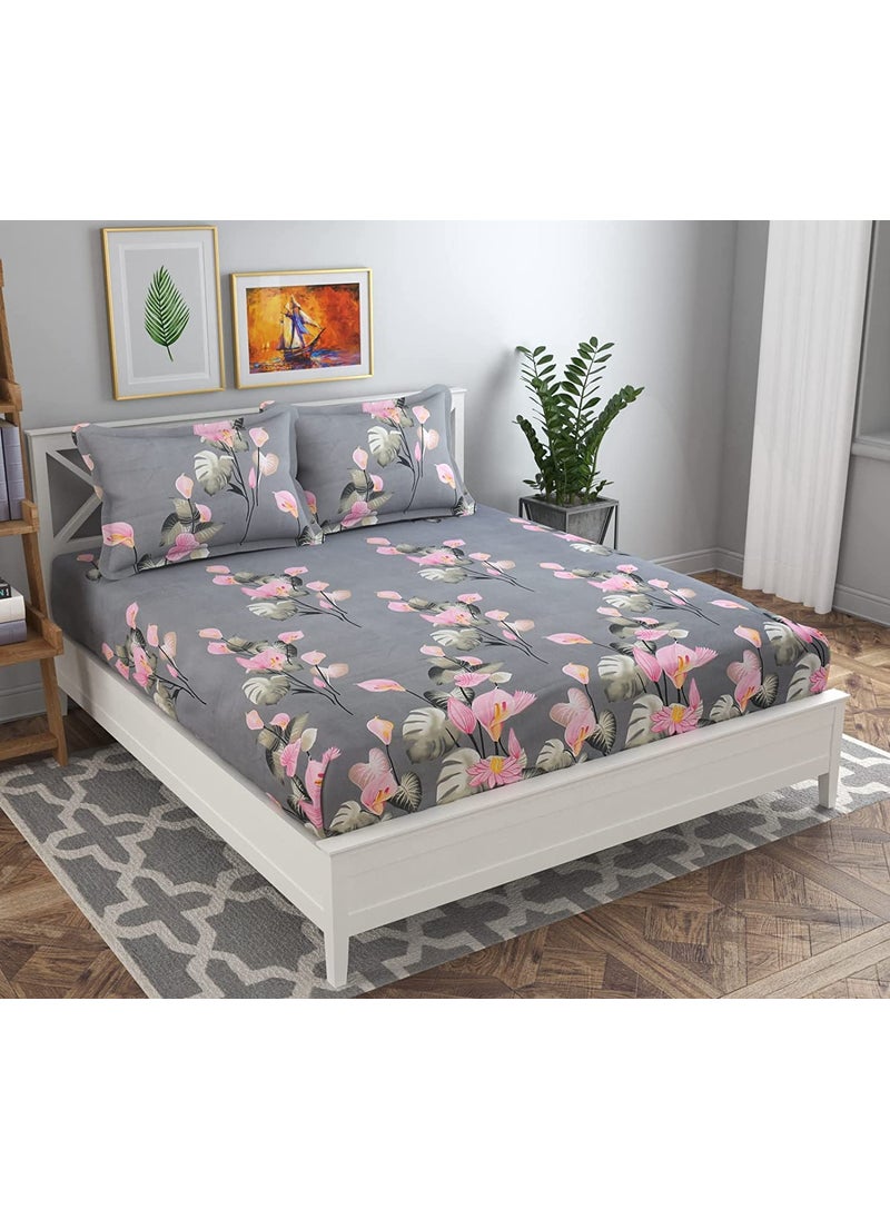 helvetica Supersoft Cotton Elastic bedsheet Queen Size 72 78 6 for Double Bed with 2 Pillow Covers 180 tc Design 1