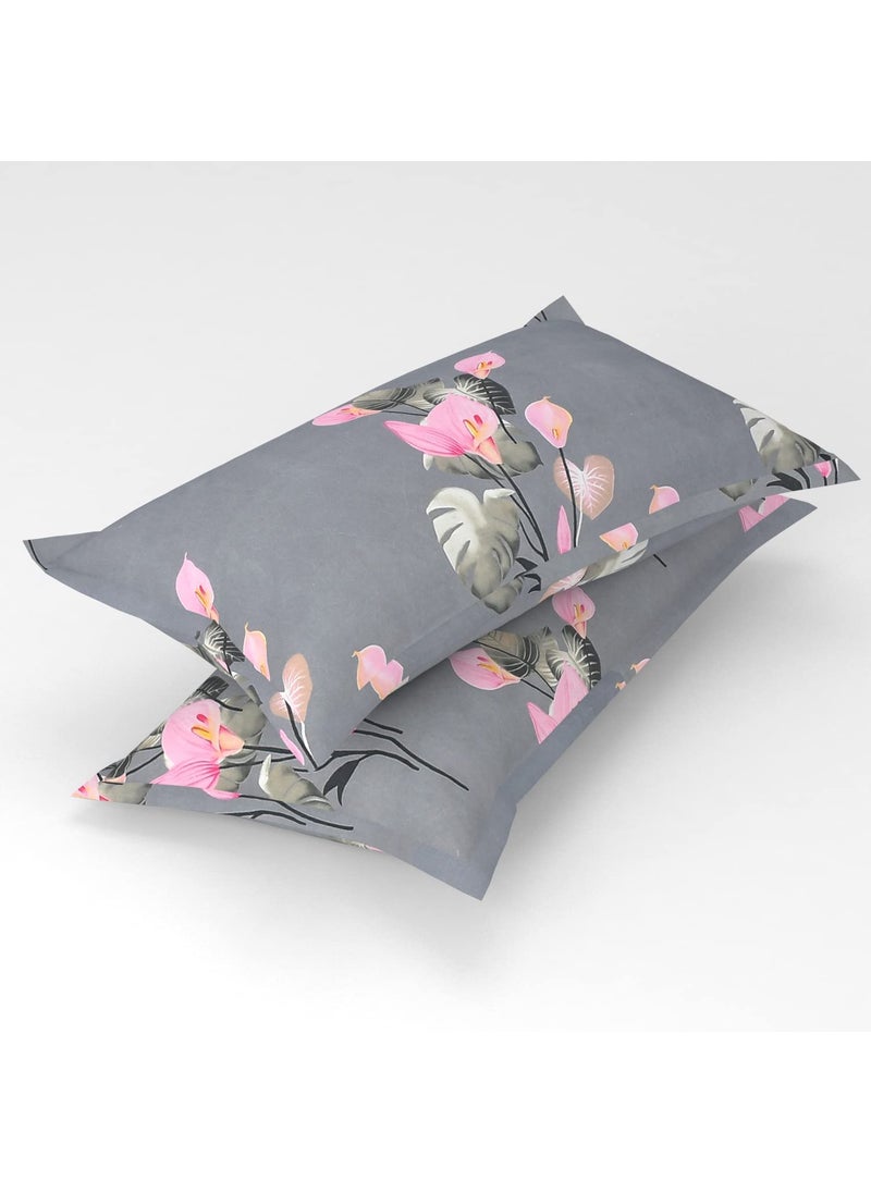 helvetica Premium Cotton Elastic Fitted Bedsheets with 2 King Size Pillow Covers Double Bed with All Around Elastic 180 TC Supersoft 72x78 Grey and Pink Floral