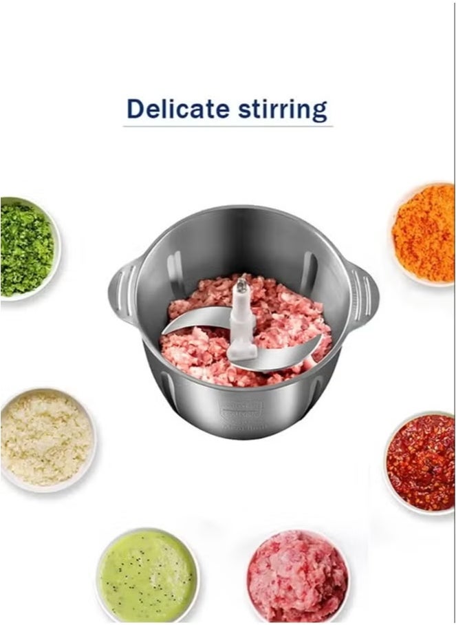 3L Meat Grinder,2 Speeds Electric Meat Grinder,Electric Chopper,Food Processor with 4-Blades,Stainless Steel Bowl,1000W,R.7031,Silver/Black
