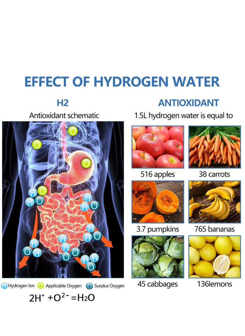 Portable Hydrogen Water Generator Bottle with SPE and PEM Technology, Alkaline Ionizer Generator USB Rechargeable Portable Hydrogen Rich Water Glass Health Bottle for Home and Fitness Daily Drinking