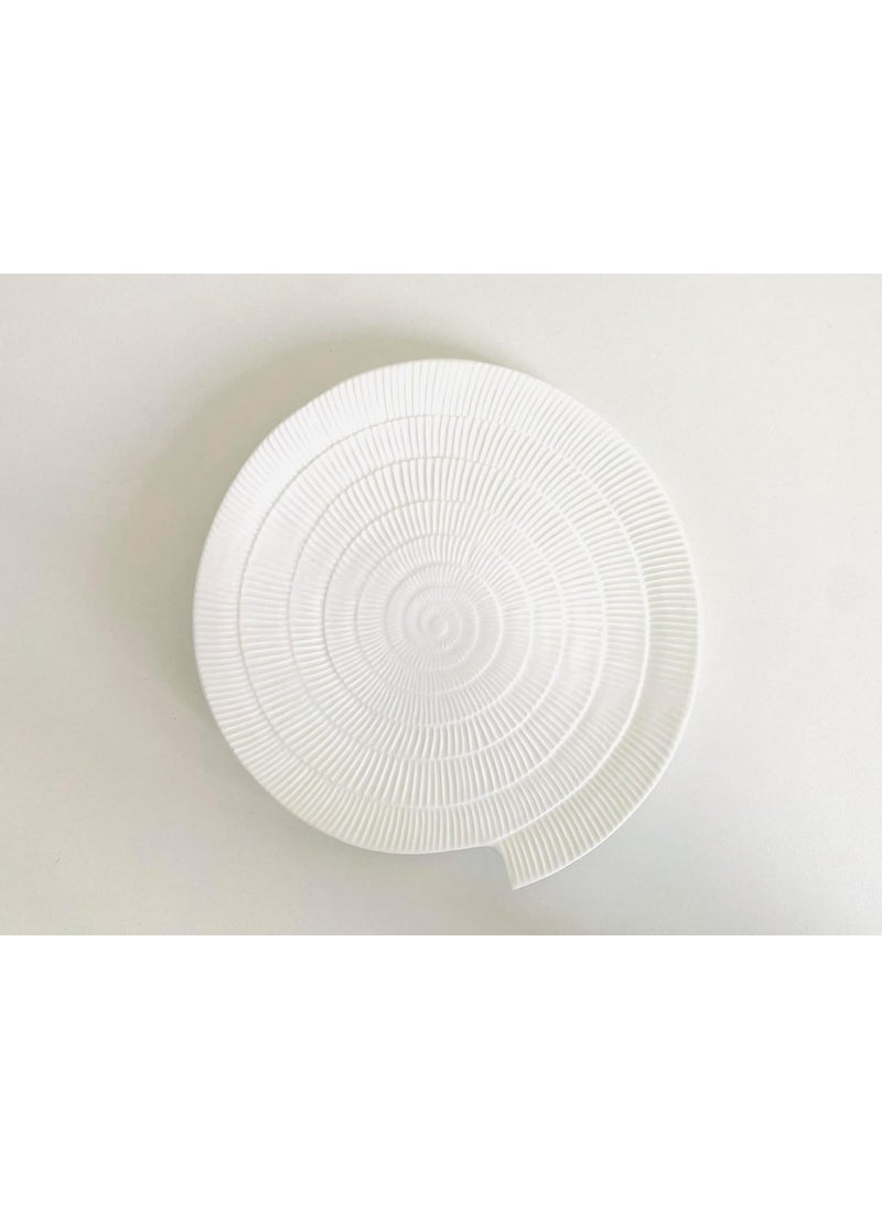 ALTAICA Porcelain White Ceramic Platter Appetizer Plate Tray for Serving Snacks Salad Pizza Parantha Perfect for Modern Kitchen Size 21x21x1 cm Disk Design
