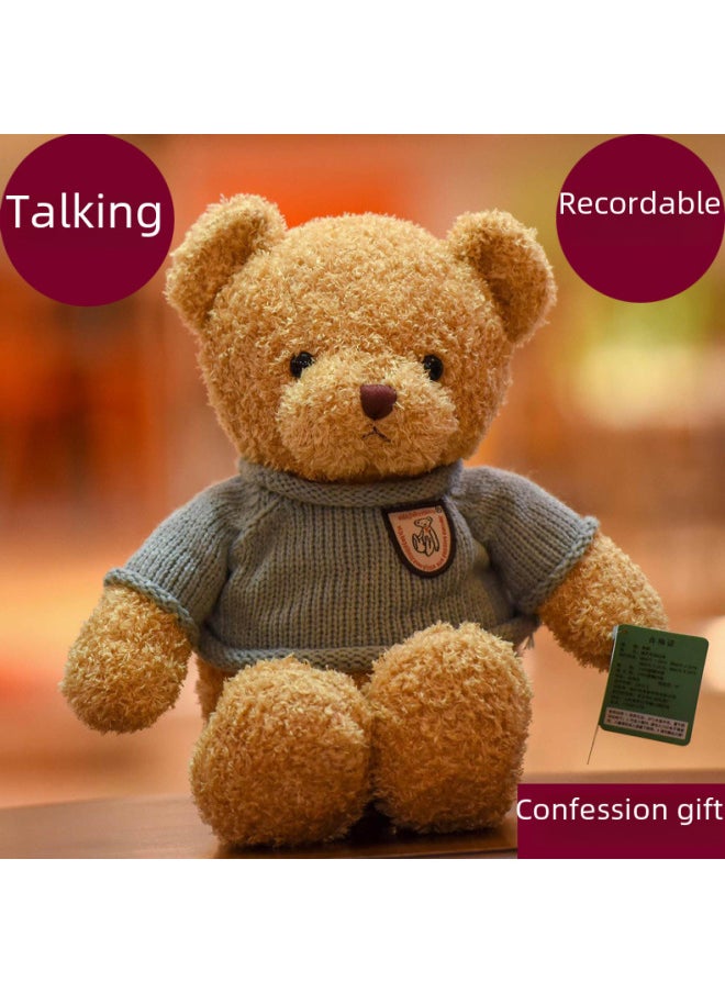 Recording Teddy Bear Plush Toy Talking Doll Cloth Doll Cute Hug Bear Doll Girls Gift-Color:Yellow Teddy Bear Birthday-Height:Large 50cm (recording 5 Minutes)