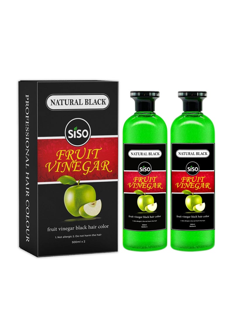 Siso Fruit Vinegar Hair Color, Natural Black Color Dye for Hair Care, Natural Ammonia Free Color Dye (500ml x 2) | Made In India
