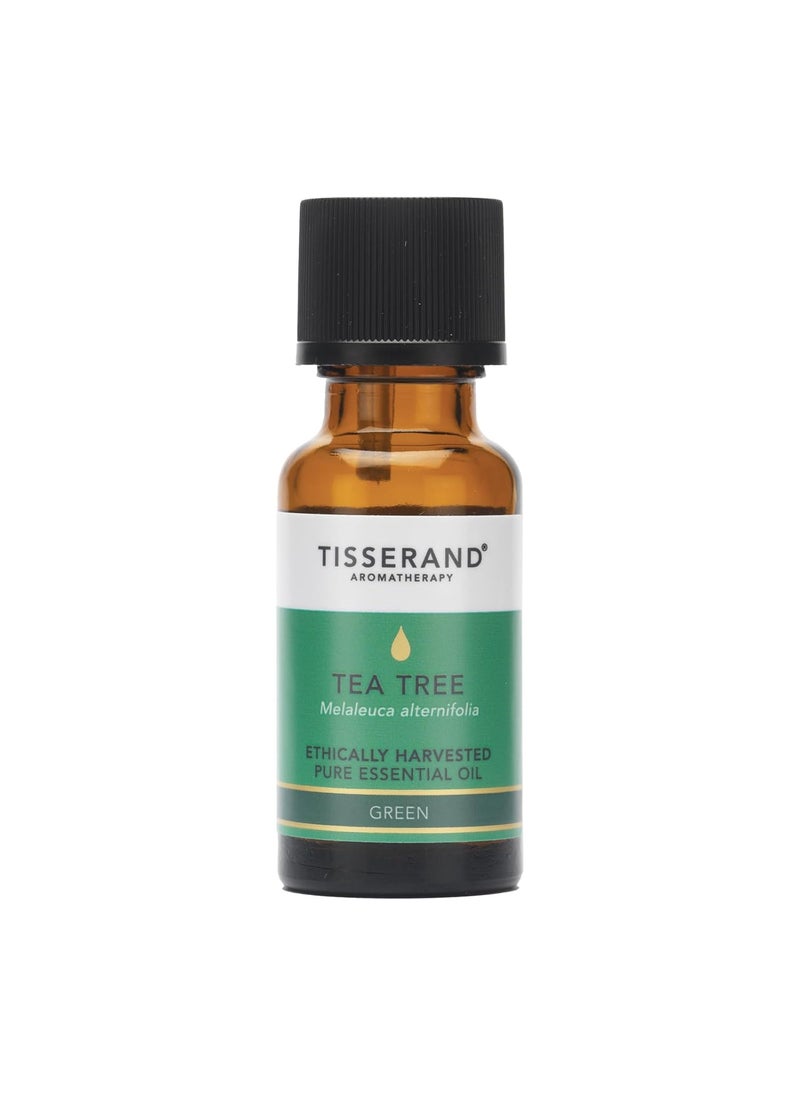 Tisserand Ethically Harvested Pure Essential Oil - Natural Immune Booster - Deep Cleanser for Skin and Home Surfaces - Tea Tree - 0.68 oz